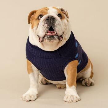 Troublemaker Knitted Dog Jumper, 6 of 7