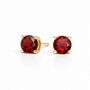 Solid 9ct Yellow Gold January Birthstone Stud Earrings – 4mm, thumbnail 6 of 7