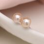 Sterling Silver Pink Freshwater Pearl Stud Earrings, thumbnail 2 of 10