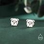 Sterling Silver Cute Bulldog Stud Earrings, thumbnail 1 of 12