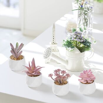 Five Mini Artificial Succulent Plants In White Pots, 4 of 11