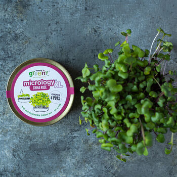 Grow Your Own Microgreens Teeny Greeny Micrology® Kit, 2 of 10
