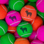 French Bulldog Tennis Balls, thumbnail 3 of 4