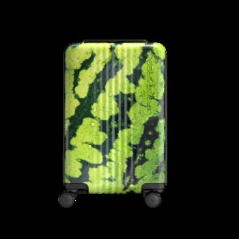 Eco Friendly Fruit Case Suitcase, 7 of 10