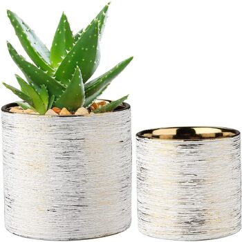 Set Of Two Gold Ceramic Plants Pot, 3 of 5