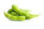 Edamame Plants, 'Green Shell', thumbnail 1 of 5