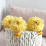 Three Little Chicks Crochet Kit, thumbnail 3 of 6