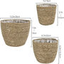 Pack Of Three Natural Seagrass Planter Baskets, thumbnail 6 of 8