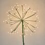 Solar LED Dandelion Stake Light Small, thumbnail 2 of 4