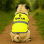 Personalised Reflective Dog Coat With Name And Paw Print, Custom Hi Vis Dog Jacket, Safety Gift For Dog Lovers, thumbnail 1 of 9