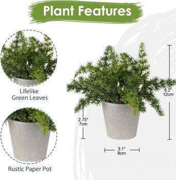 Pack Of Three Artificial Faux Plant In Pots, 6 of 6