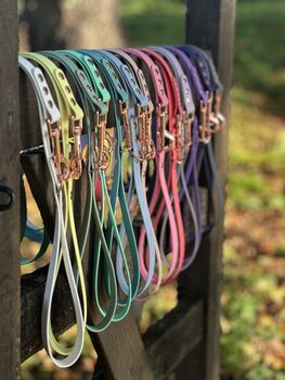 Biothane® Waterproof Dog Lead, 2 of 9