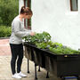 Medium Outdoor Self Watering Vegetable Bed, thumbnail 1 of 11