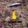 Hanging Bird Feeder Girl With Umbrella Novelty Durable, thumbnail 9 of 9