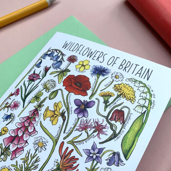Wildflowers Of Britain Art Blank Greeting Card, 5 of 12