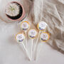 Personalised Succulent Themed Wedding Favour Lollipops, thumbnail 1 of 5
