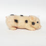'Spotty' The Spotted Silicone Micro Piglet Collectable, thumbnail 6 of 6