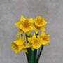 Origami Narcissus Daffodils Bouquet, Mother's Day Gift, thumbnail 5 of 5