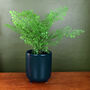 Dark Teal Blue Green Ceramic Planter Plant Pot, thumbnail 1 of 2