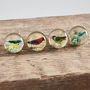 Set Of Four Glass And Brass Bird Knobs, thumbnail 2 of 2