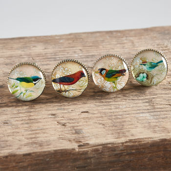 Set Of Four Glass And Brass Bird Knobs, 2 of 2