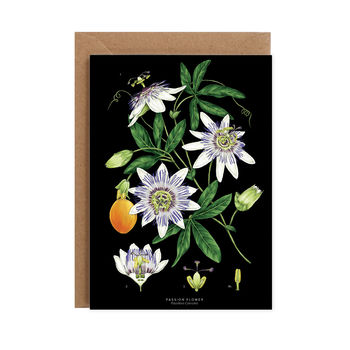 Botanical Passion Flower Black Card, 2 of 2