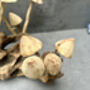 20cm Hand Carved Wooden Mushroom Figurine Coffee Root Wood, thumbnail 2 of 12