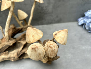 20cm Hand Carved Wooden Mushroom Figurine Coffee Root Wood, 2 of 12