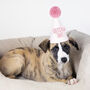Custom Colour Gotcha Day Party Hat, thumbnail 1 of 8