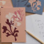 Set Of Six Sea Coral Notecards And Envelopes, thumbnail 3 of 4