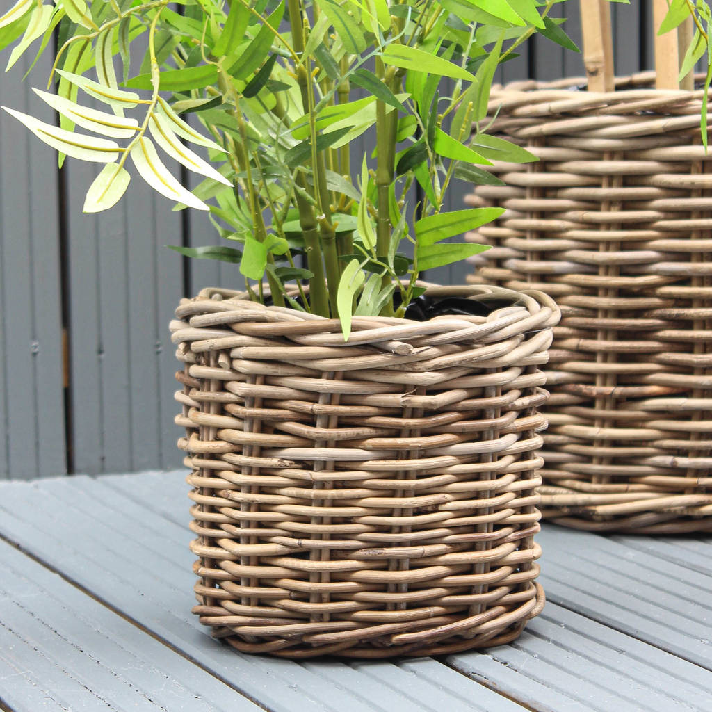 natural rattan planters set of three by marquis & dawe ...