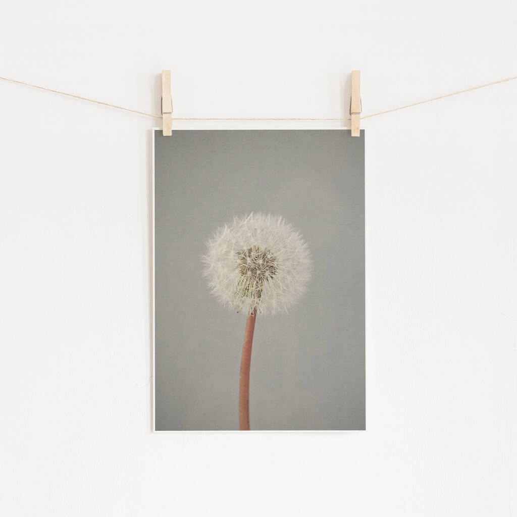 The Passing Of Time Photographic Dandelion Clock Print, 1 of 2