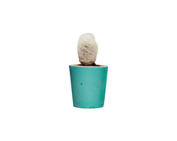 Concrete Pot Small With Cactus/ Succulent In Turquoise, 4 of 5