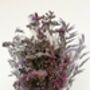Purple Wildflower Posy With Jar, thumbnail 5 of 6