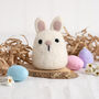 My Pocket Bunny Needle Felting Kit, thumbnail 1 of 7