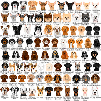 Dog Breed ID Tag Personalised Realistic Illustrations, 4 of 11