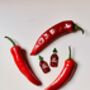 Hot Sauce Bottle Glitter Dangle Earrings / Fun Gift For Spice Lovers And Sassy Friends, thumbnail 1 of 6