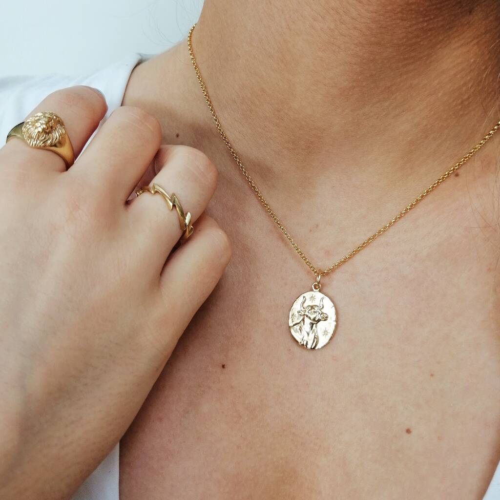Zodiac Double-Sided Charm Necklace, Taurus – ALEX AND ANI