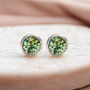 Sterling Silver August Peridot Birthstone Stud Earrings, thumbnail 7 of 9