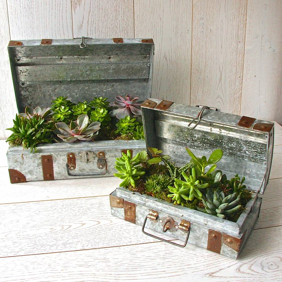 Two Zinc Suitcase Planters By London Garden Trading 