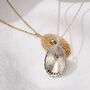 Personalised Limpet Shell Necklace, thumbnail 6 of 8