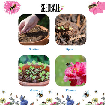 Wildflower Jar Stocking Fillers Set Of Six Flowers, 6 of 11