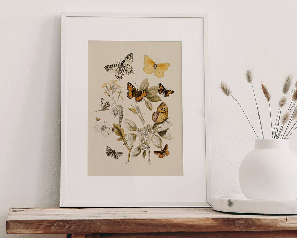Botanical Butterfly Art Print By Norfolk Print Collective