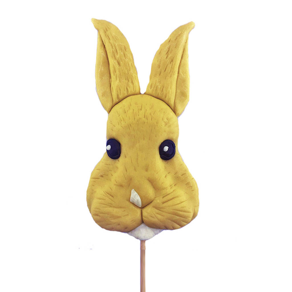 personalised candy pet lollipop by spun candy | notonthehighstreet.com