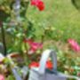 Watering Can Zinc One.6 L, thumbnail 3 of 4