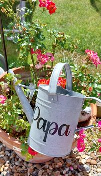 Watering Can Zinc One.6 L, 3 of 4