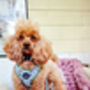 Countryside Ducks Dog Harness With Optional Set, thumbnail 10 of 12