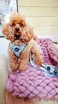 Countryside Ducks Dog Harness With Optional Set, 10 of 12