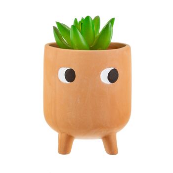 Mini Leggy Terracotta Planter With A Plant, 3 of 3