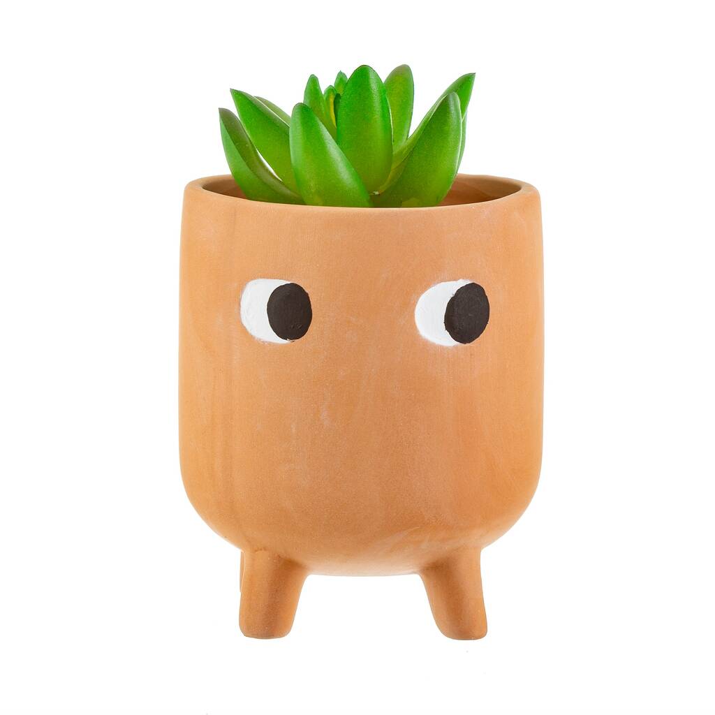 Mini Leggy Terracotta Planter With A Plant, 1 of 3